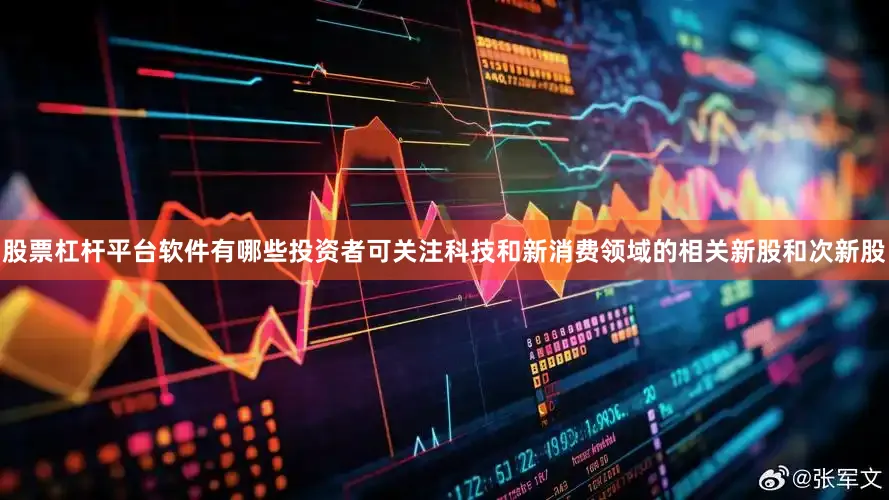 股票杠杆平台软件有哪些投资者可关注科技和新消费领域的相关新股和次新股