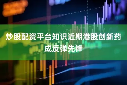 炒股配资平台知识近期港股创新药成反弹先锋