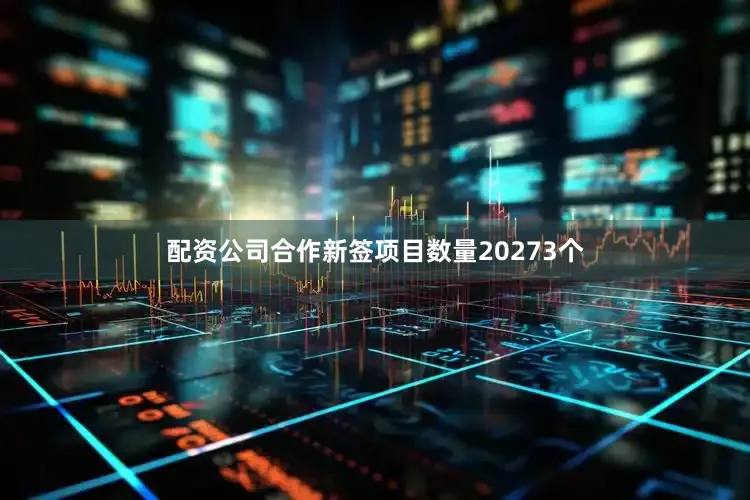 配资公司合作新签项目数量20273个