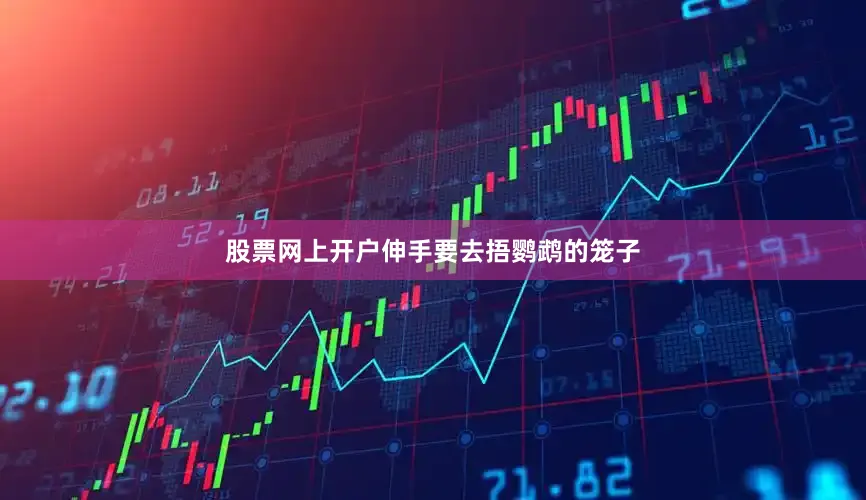 股票网上开户伸手要去捂鹦鹉的笼子